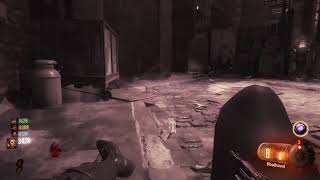 Cod zombies