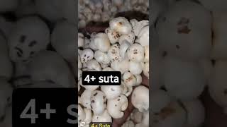 4+ suta available #healthyfood #foxnuts #makhana #gym #viral #khalasisong #ytshorts