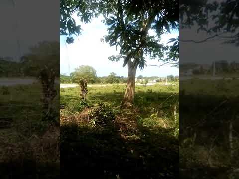 Large lot for sale in Otra Banda