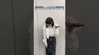 逆再生チャレンジ　～Determination Symphony編～