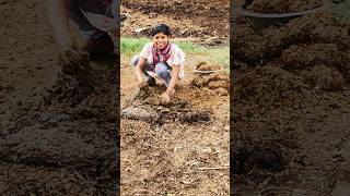 cute girl short video #bihar #nature #dehativlog #villagelife dehat bihar like share comment