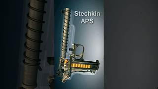 Stechkin Automatic Pistol #shorts