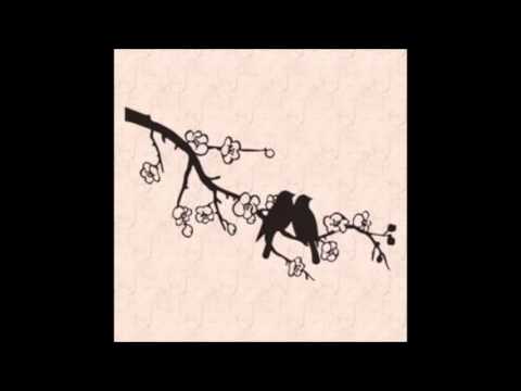 Two Birds by Regina Spektor (cover)