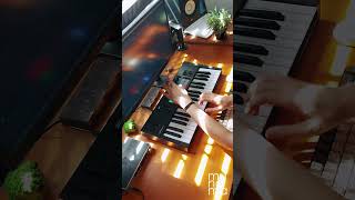 Manu Chao - Bongo Bong (Live Loop Cover) | Launchkey MK4 #ableton #novation