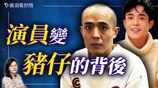 王星事件燎原！是誰在騙中國人去緬甸？真正的幕後大人物不得了！｜薇羽看世間 20250113
