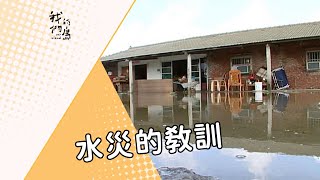 【颱風災害】水災的教訓｜地層下陷區的防災減災思考 (我們的島 第262集 2004-07-12)
