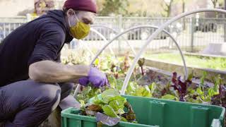 The School of Environmental Sustainability