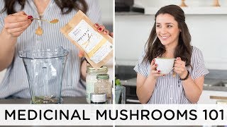 BENEFITS OF MEDICINAL MUSHROOMS 🍄+ my top 4 favorites