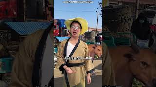 #搞笑 #沙雕剧情 #沙雕故事 #梗 #遊戲 #喜剧 #熱門