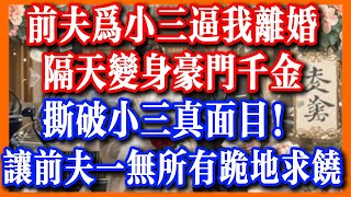 前夫為小三逼我離婚，隔天變身豪門千金，撕破小三真面目，讓前夫一無所有跪地求饒！#情感故事 #小说 #女频 #為人處世 #有声小说  #真實故事 #爽文