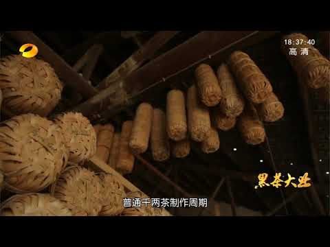 黑茶大業3：老茶人與新茶人