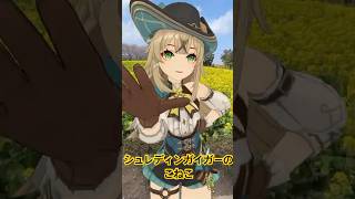 【菜の花を背に シュレ 1/4】黄色い花壇の中で 原神のシグウィンたちが「シュレディンガイガーのこねこ」【原神 GENSHIN 3D AR】