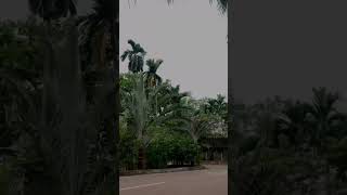 Aditya Engineering College #shorts #short #youtube #reels #instagram #ytshorts #clglife #btech #love