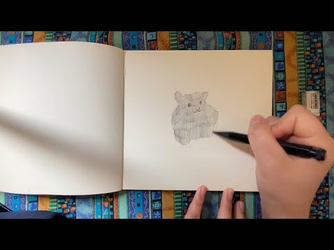 01速写｜手绘画画｜一只胖胖的小老鼠