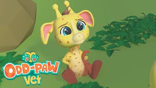 Baby Kangaraffe | Odd-Paw Vets | Amazing Animal Rescues | Cartoons For Kids