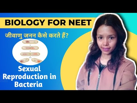 Sexual Reproduction in Bacteria || Transformation || Transduction || Conjugation  || #neet