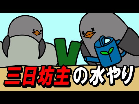 【アニメ】三日坊主の水やり