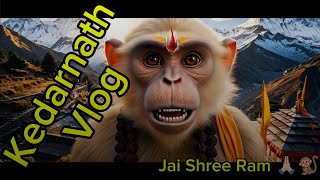 Viral monkey vlogger🐒😍#veo3 #kedarnath #bajrangimonkey ,kedarnath ja raha hai ,bandar vloginng video