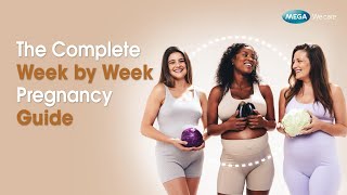 The Complete Week by Week Pregnancy Guide | 31 Weeks Pregnant in Months