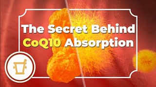 CoQ10 - The Secret Behind CoQ10 Absorption