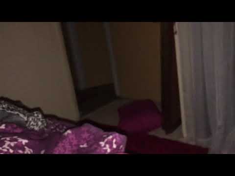 Bengal Cat Morning Gurgle Growl