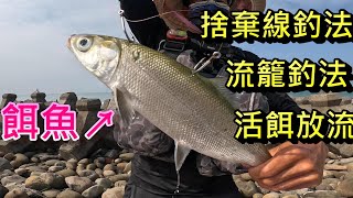 我以前愛玩的幾種登大物釣法 流籠釣法 捨棄線釣法 活餌放流 這次來教大家線組怎麼綁 怎麼登大物
