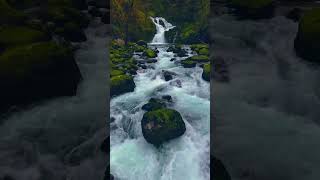 #nature #4kdisplay #enhancedvisuals #visualquality #wildlife #4ktest