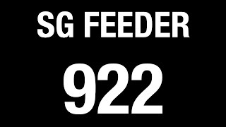 SMRT Buses Feeder 922 (BFTP 2017) | Bus Service Hyperlapse