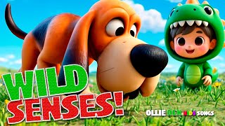 Super Senses! 🦉🐕 Discover Amazing Animal Abilities | Fun Kids Song by Ollie Rex!