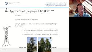 FORESTCARE: An HPC application case study for forest vitality assessment