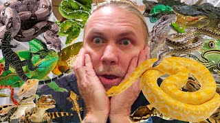 $7500 TO FEED ALL MY REPTILES EVERY WEEK!! | BRIAN BARCZYK