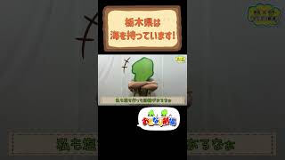 栃木県は海を持っています！