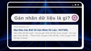 Gán nhãn dữ liệu là gì? Các loại, vai trò, thách thức và giải pháp | Kotwel