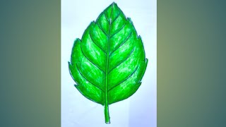 Leaf drawing easy step by step/#newlessonofdrawing /#youtubeshorts /#short