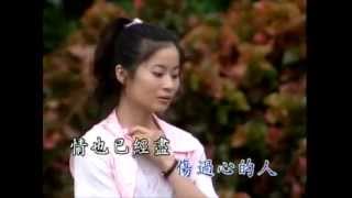 《傷過心的人》 詞曲：張錦華 // 收錄林姍2001年發行的專輯【多情傷心肝】
