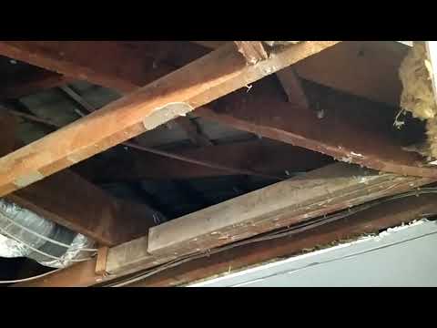 Kitchen renovation #3