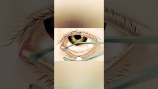 eye 👁️👀 asmr video #shorts #asmr #youtubeshorts #brainasmr