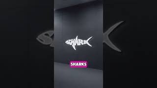 Easiest Logo Maker Apps for 2025 #ailogomaker #ailogo #logo #logoideas #babygenerator #may