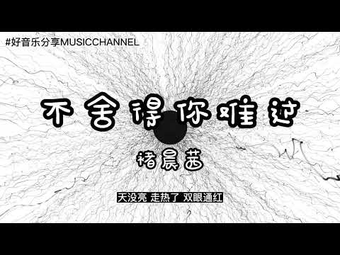 褚晨茜 - 不舍得你难过【動態歌詞 Lyrics】