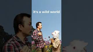 Wild World cover #shorts