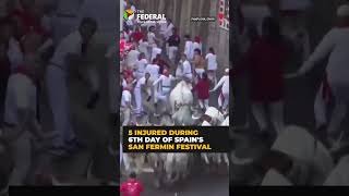 5 Injured in Spain’s iconic bull running festival