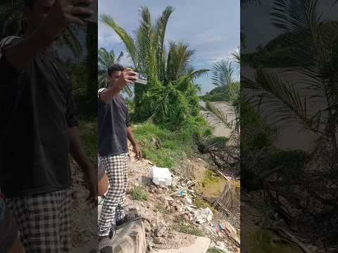 মালাইশিয়া মাছ ধরার যায়গা। #short #shorts #youtubeshorts #shortvideo