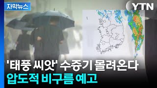 [자막뉴스] 돌풍·벼락까지 동반한 '물 폭탄'...동해 이어 중부도 비상 / YTN
