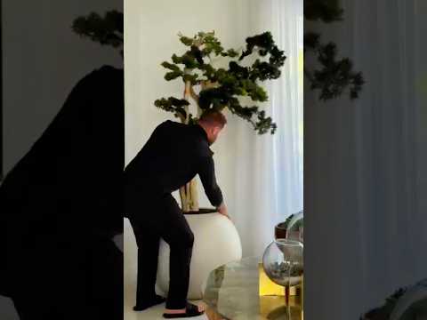🌲🏠Discover the Tranquil Beauty of Our Curated Artificial Bonsai Forest Interior Design Link to BIO