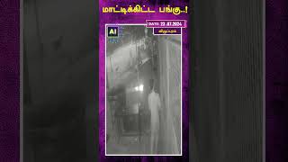 மாட்டிக்கிட்ட பங்கு  ! #shorts | AI News VTV | AI News Reader