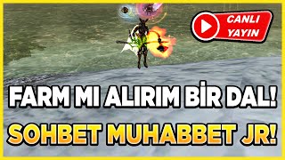 FARM MI ALIRIM BİR DAL🤑! | SOHBET MUHABBET JR🔥! | Knight Online Canlı Yayın #knightonline