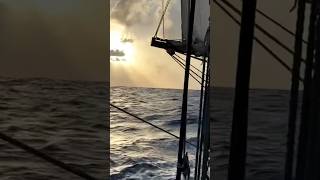 Land Ahoy! After 21 days at sea 💙🌱⛵️ #nomadlife #sailinglife #sailboat #sailingadventures