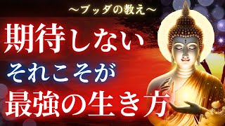 【ブッダの教え】"期待しない"という生き方が本当の自由である理由