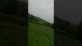 Dji Avata 2 VS Rain 🌧️ 🤟🏼 #djiavata2 @DJI