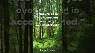 #NatureQuotes #NatureWisdom #NatureLove #BeautyOfNature #NatureInspires #PeacefulNature #ForestMagic
